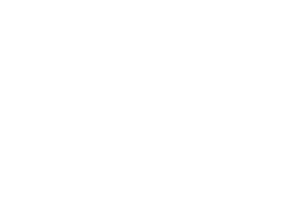 pawkarstudio.com